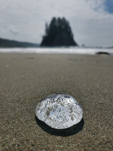 Low-angle photo of a small jellyfish washed up on a sandy beach. The creature's clear, dome-shaped bell contains visible bubbles and has a glistening, gelatinous texture. Beyond it, white surf rolls in and a towering rock formation stands silhouetted against an overcast sky.