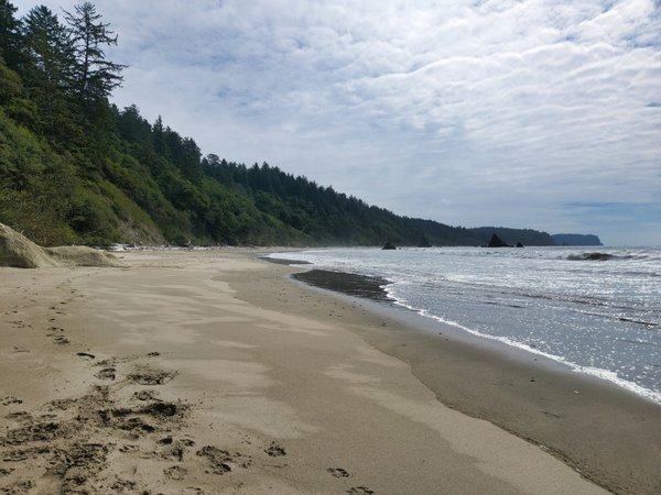 Sandy beach with gentle waves meeting the shore under a cloudy sky. Dense evergreen forest covers cliffs on the left, and footprints trail across the foreground sand.