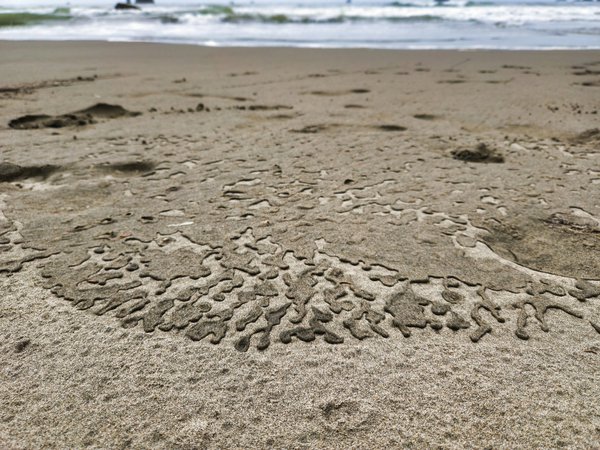 Low-angle view of wet, dark sand meeting dry, light-colored sand on a beach. The wet sand's edge creates an intricate, organic pattern with irregular shapes and finger-like extensions spreading across the dry sand. Gentle waves and white foam are visible in the blurred background near the horizon.