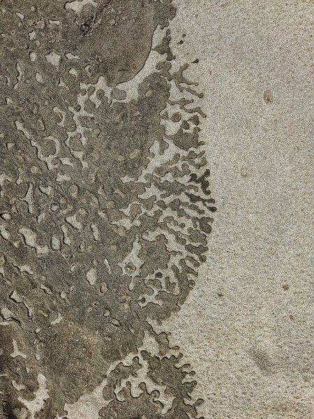 Close-up overhead view of the boundary between wet and dry sand. Dark, saturated wet sand forms complex, amoeba-like shapes with curved edges against lighter dry sand. The pattern resembles natural camouflage or abstract art, showing how water has seeped into the sand creating distinct textures and color contrast.